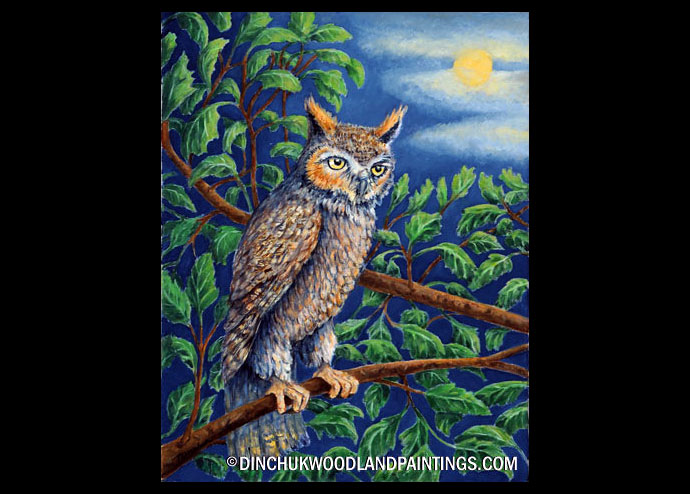Tom Dinchuk: Owl on the Branch