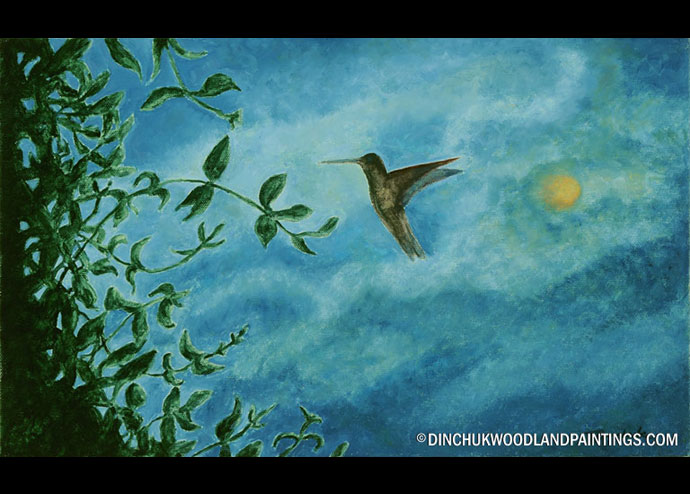 Tom Dinchuk: Hummingbird