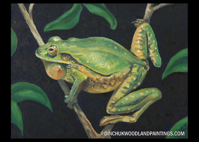 Tom Dinchuk: One Big Frog