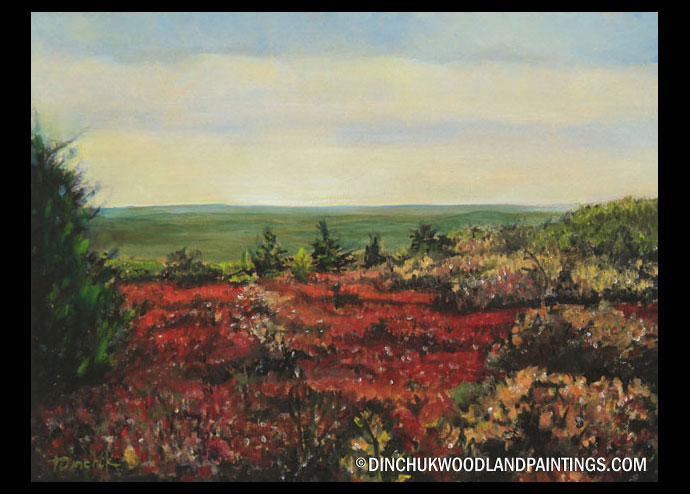 Tom Dinchuk: Raging Meadow