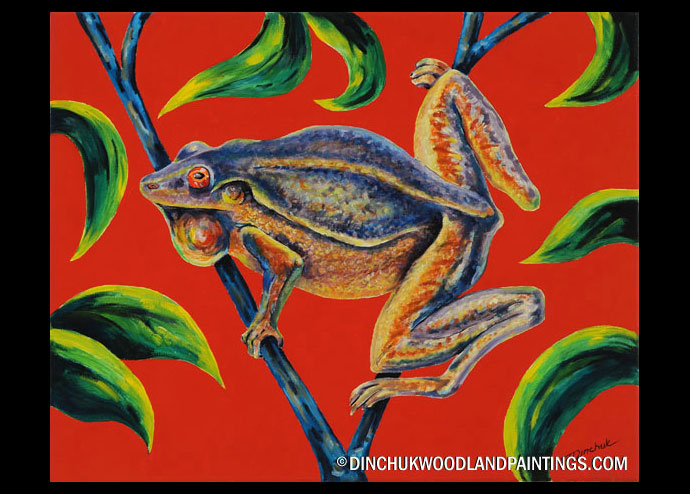 Tom Dinchuk: Frog